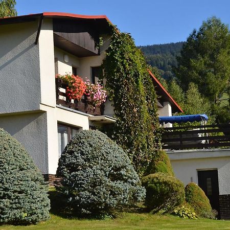 Apartmán Braun Rokytnice nad Jizerou Habitación foto