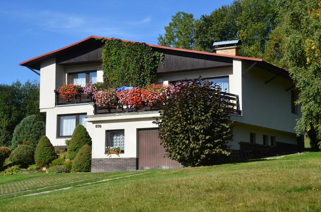 Apartmán Braun Rokytnice nad Jizerou Habitación foto