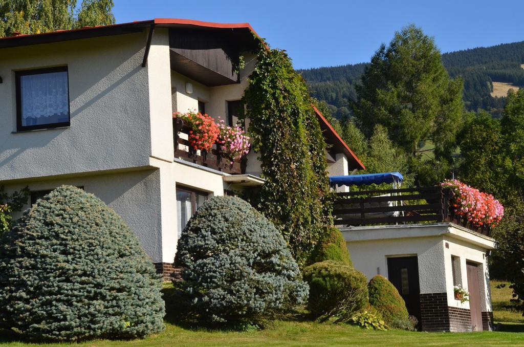 Apartmán Braun Rokytnice nad Jizerou Habitación foto