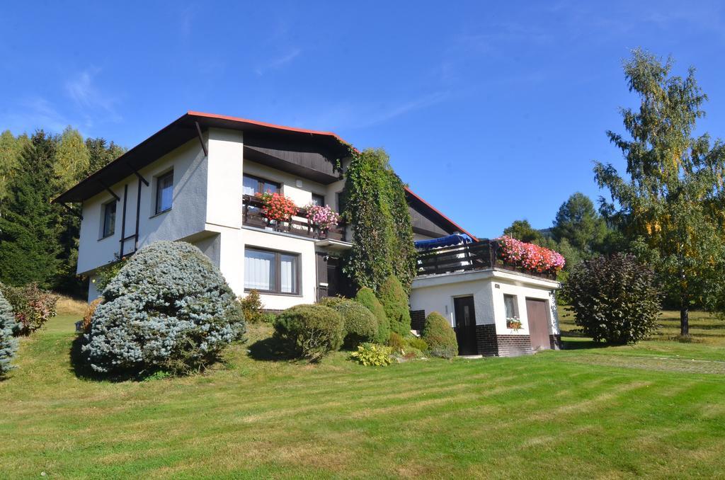 Apartmán Braun Rokytnice nad Jizerou Habitación foto