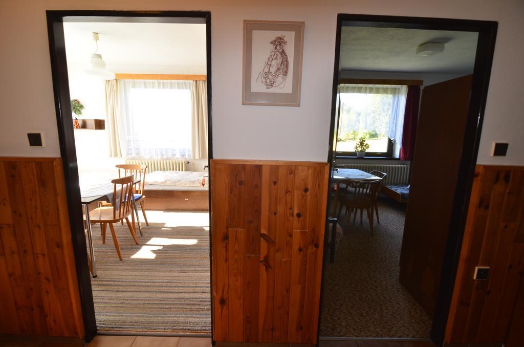 Apartmán Braun Rokytnice nad Jizerou Habitación foto