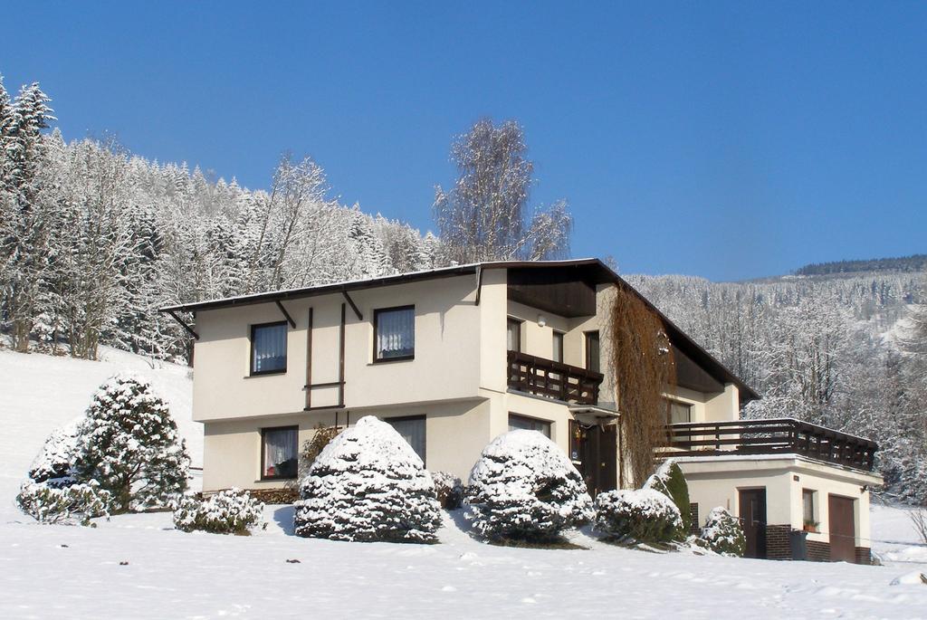Apartmán Braun Rokytnice nad Jizerou Habitación foto